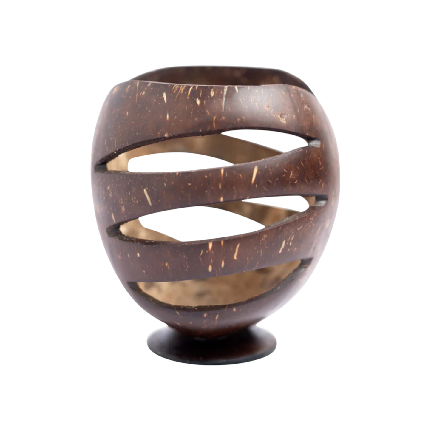 Coconut Shell Pen Stand