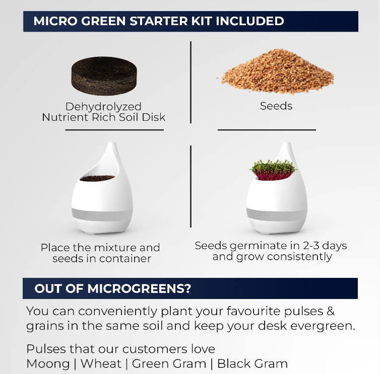 Botanical Planter cum Pen Stand