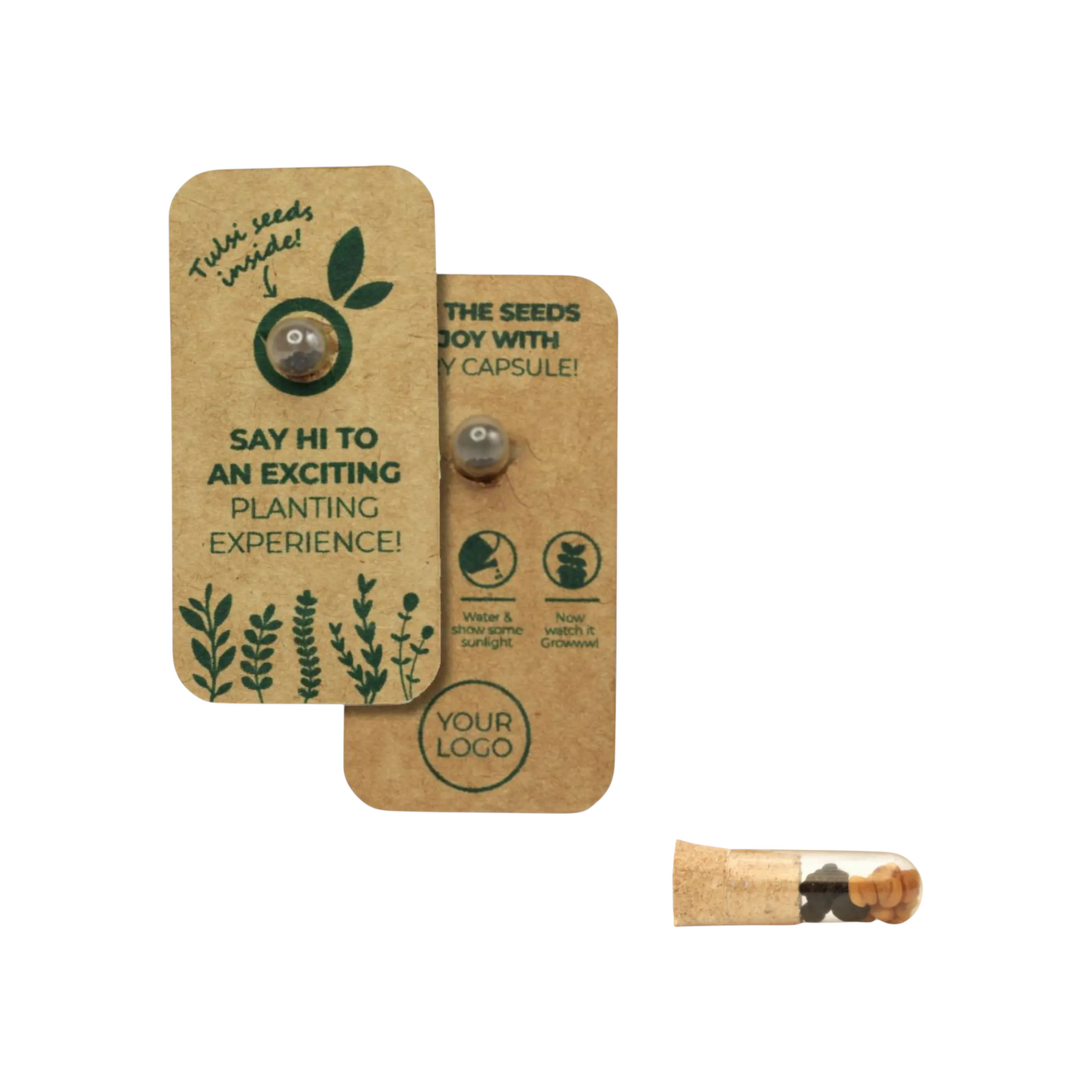 Seed Capsule in Paper Flap