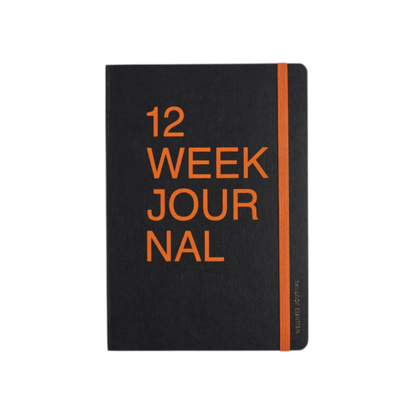 myPAPERCLIP 12 Week Wellness Journal