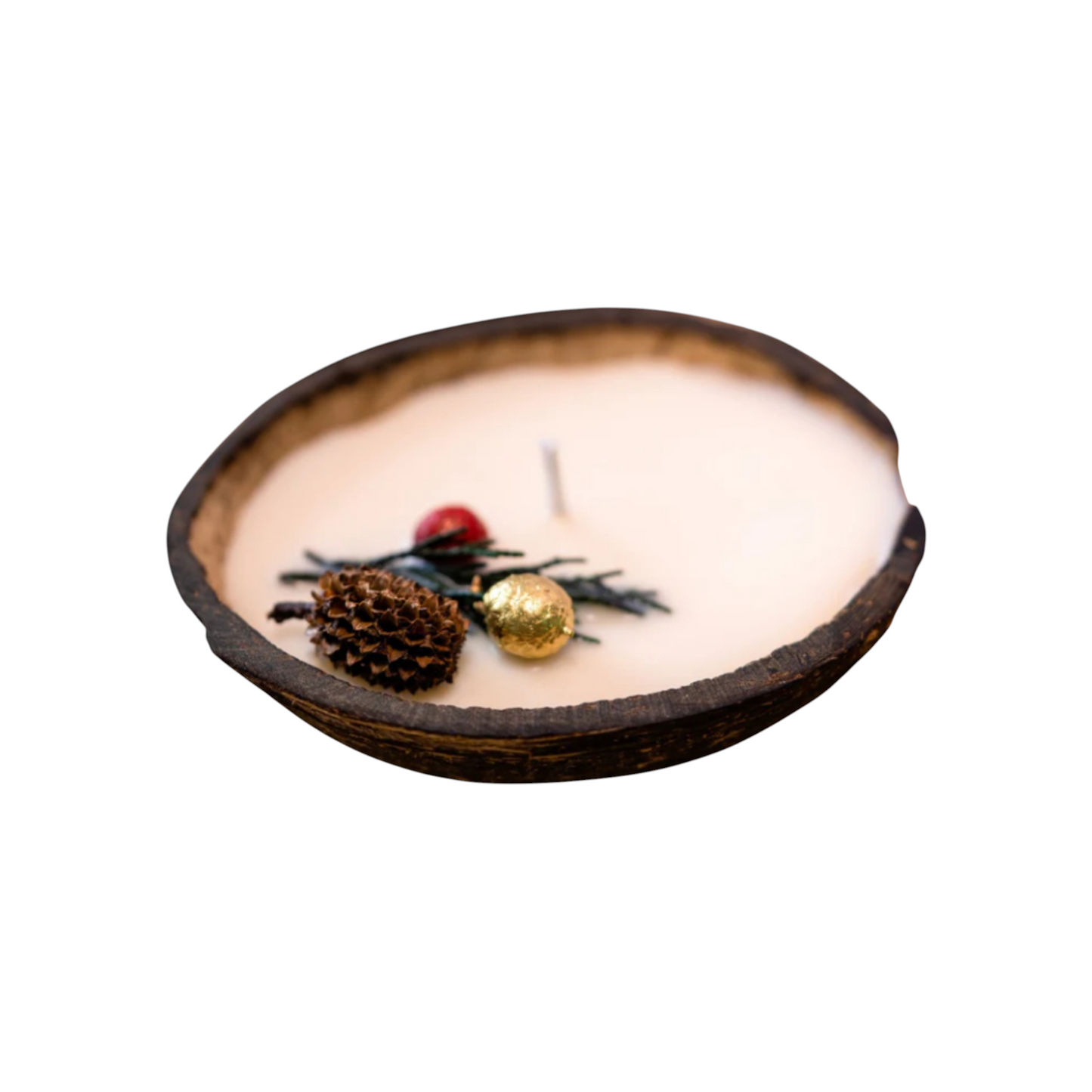 Coconut Shell Scented Christmas Candle