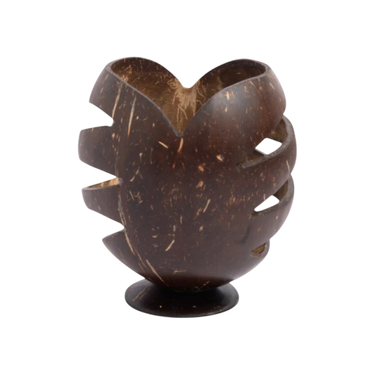 Coconut Shell Pen Stand