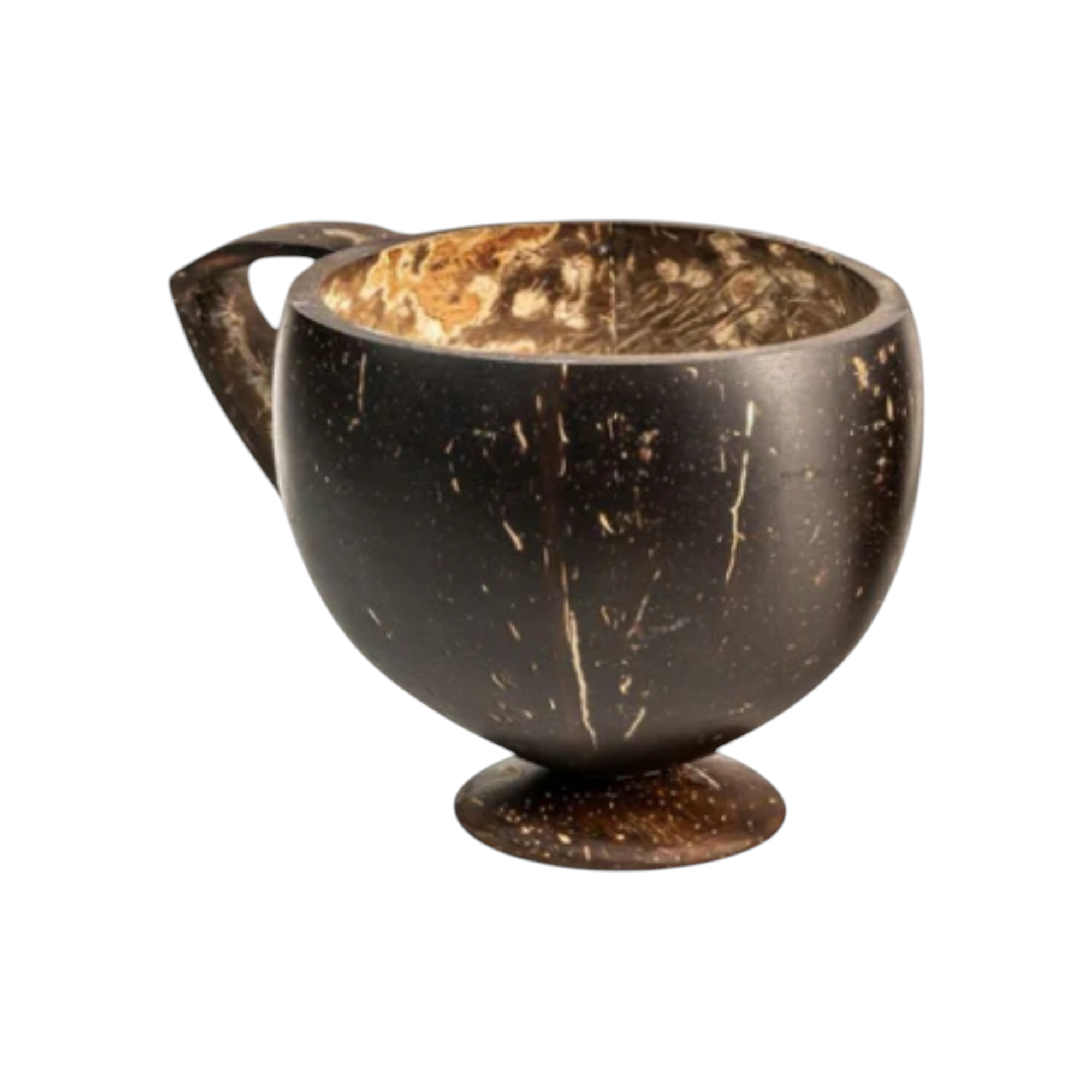 Shell Tea Cup Coconut Shell Teacup – Giftveda