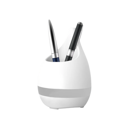 Botanical Planter cum Pen Stand