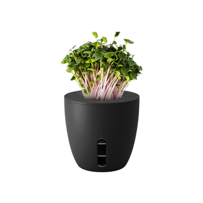 Self Watering Plant Pot