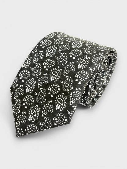 Black Paisley Silk Necktie & Pocket Square Gift Set