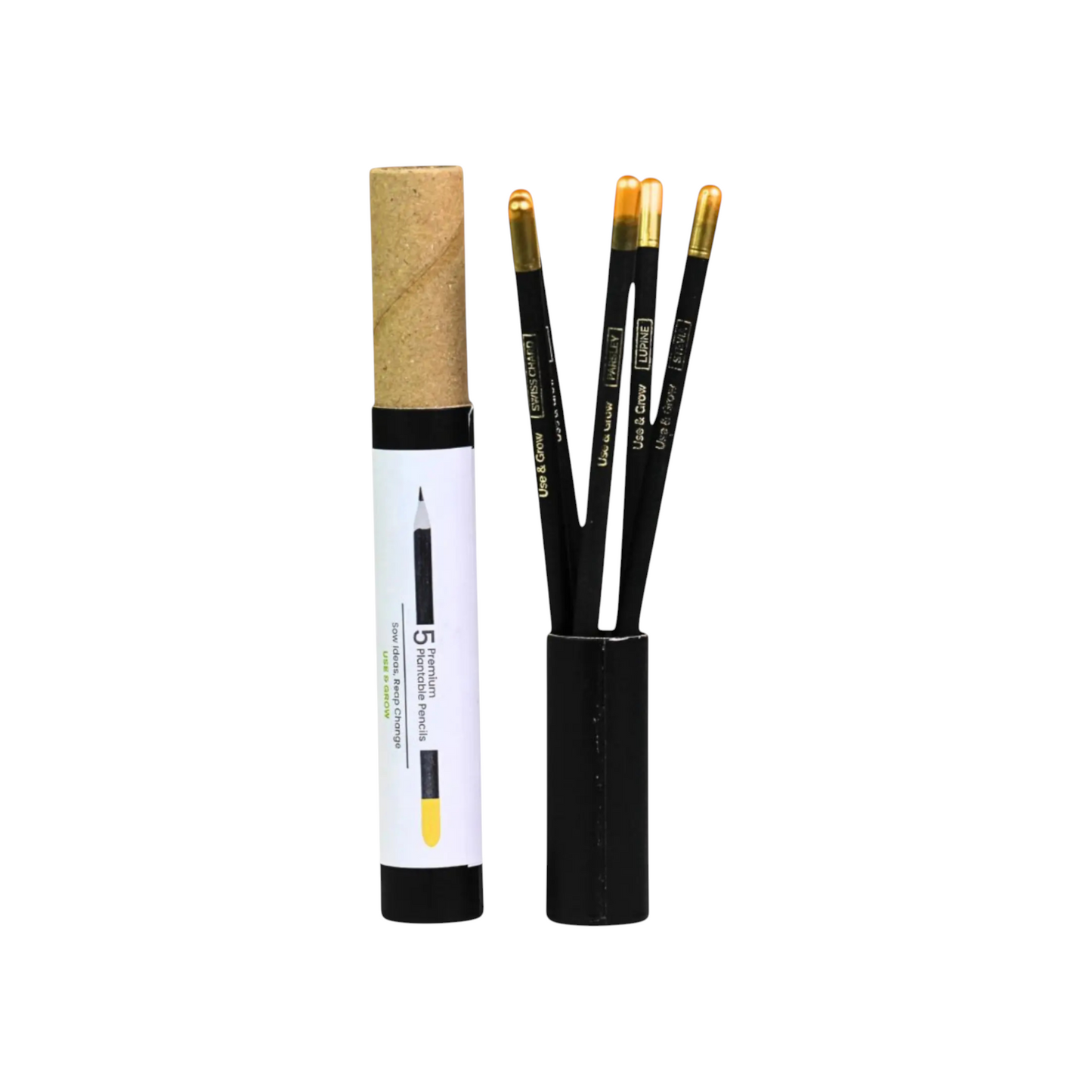 Premium Plantable Pencils Set