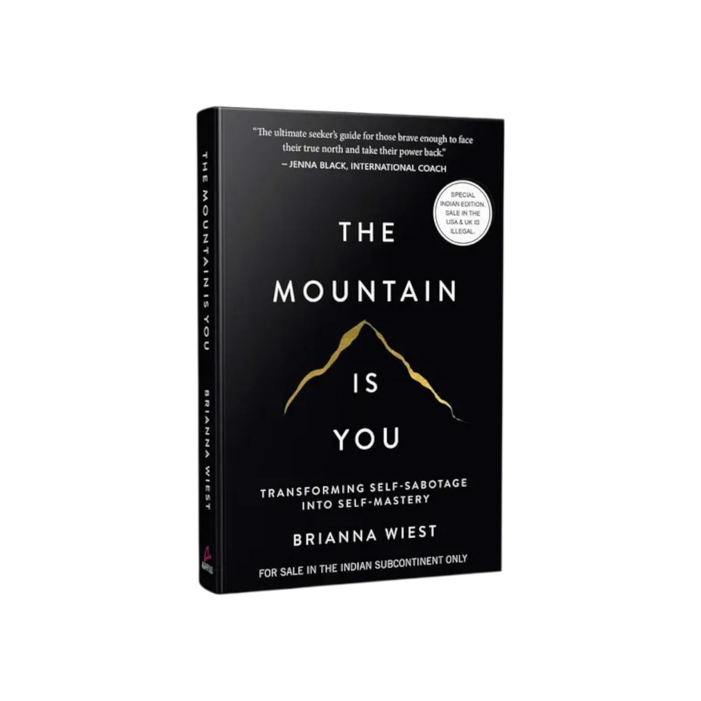 The Mountain Is You Book