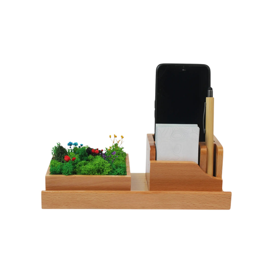 Desk Organizer with Preserved Plants
